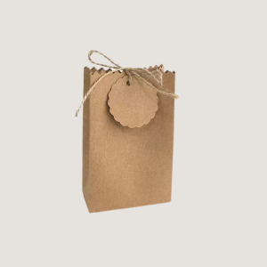 brown paper gift bag