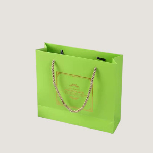 eco-friendly shopping bag