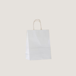 eco-friendly takeout bag