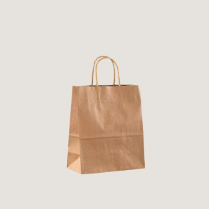 kraft paper bag with handles