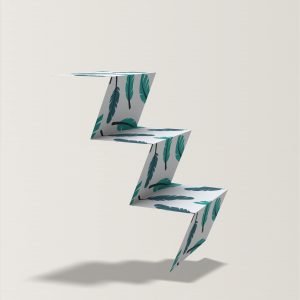 packaging folded insert