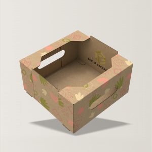 portable display tray