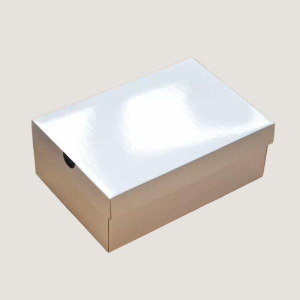 rigid cardboard shoe box